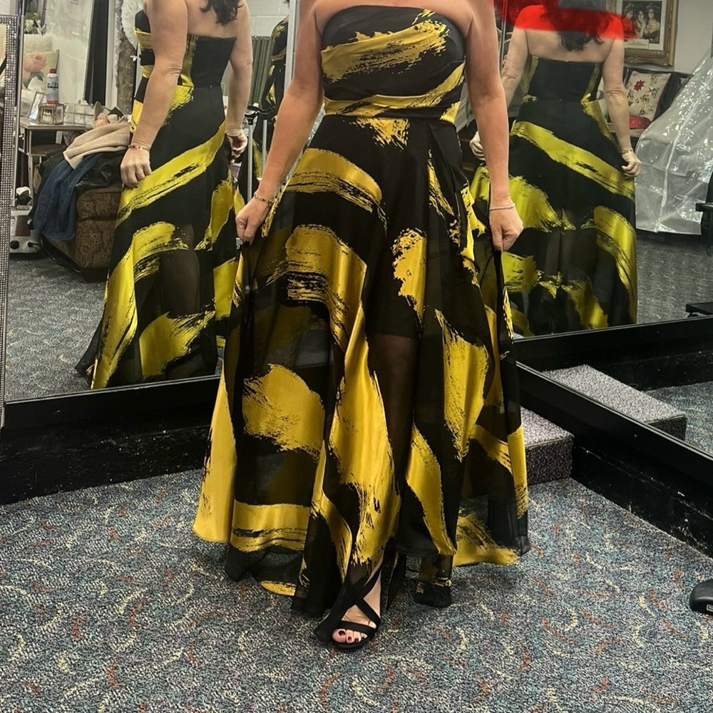 Donna Karan Stunning Gown ~ Altered to Sheer bottom and Side Slit ~ wore once